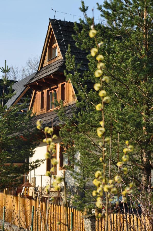 Appartement Gontyna à Zakopane Extérieur photo